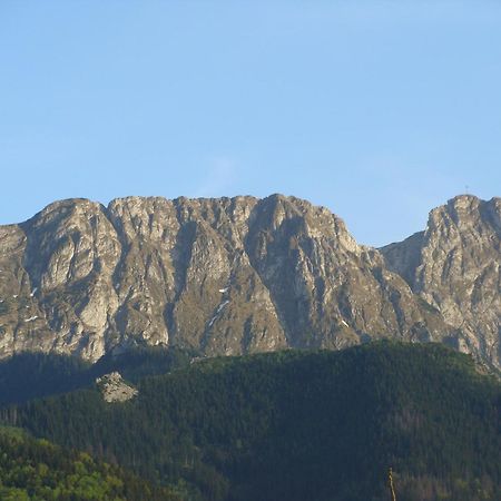 Villa Jedrus Zakopane Esterno foto