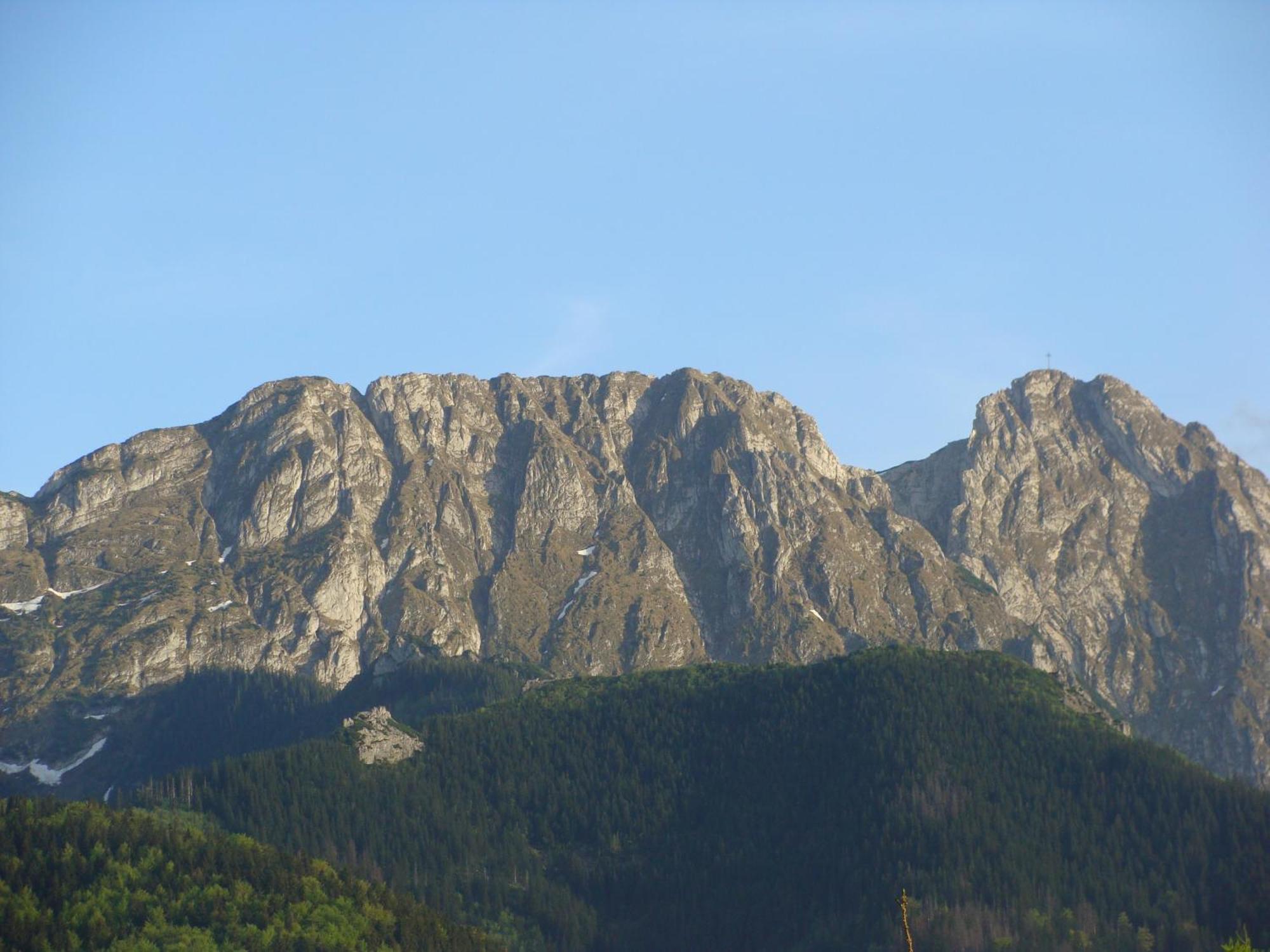 Villa Jedrus Zakopane Esterno foto