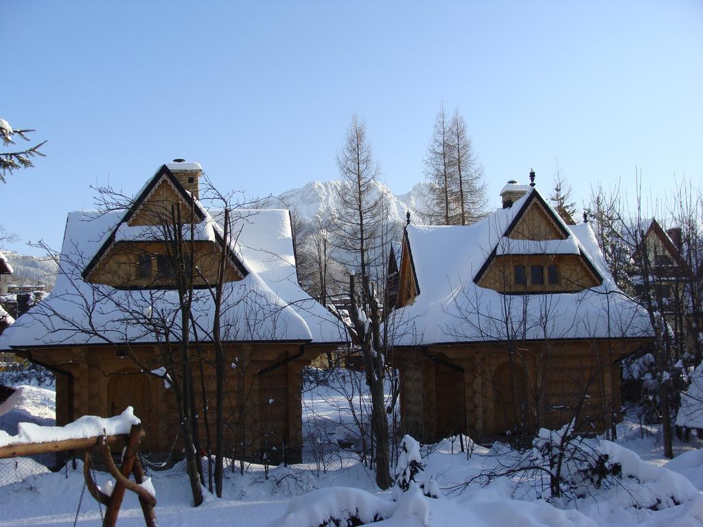 Villa Jedrus Zakopane Esterno foto