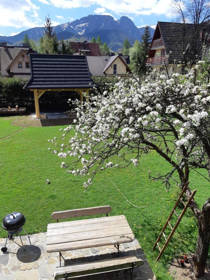Villa Jedrus Zakopane Esterno foto